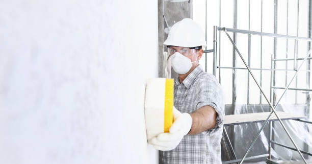 Best Biohazard Mold Removal in USA